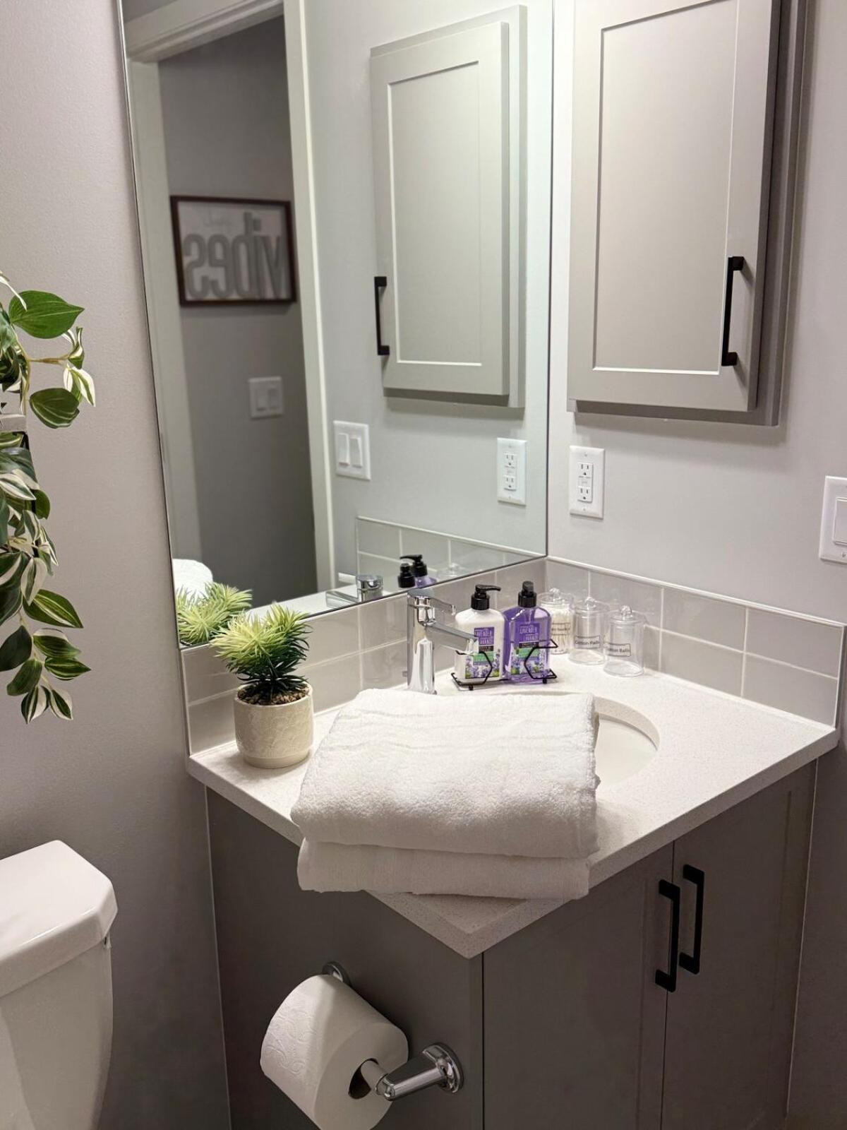 Relax, Recharge, Repeat 2bedroom Walkout Haven Apartment